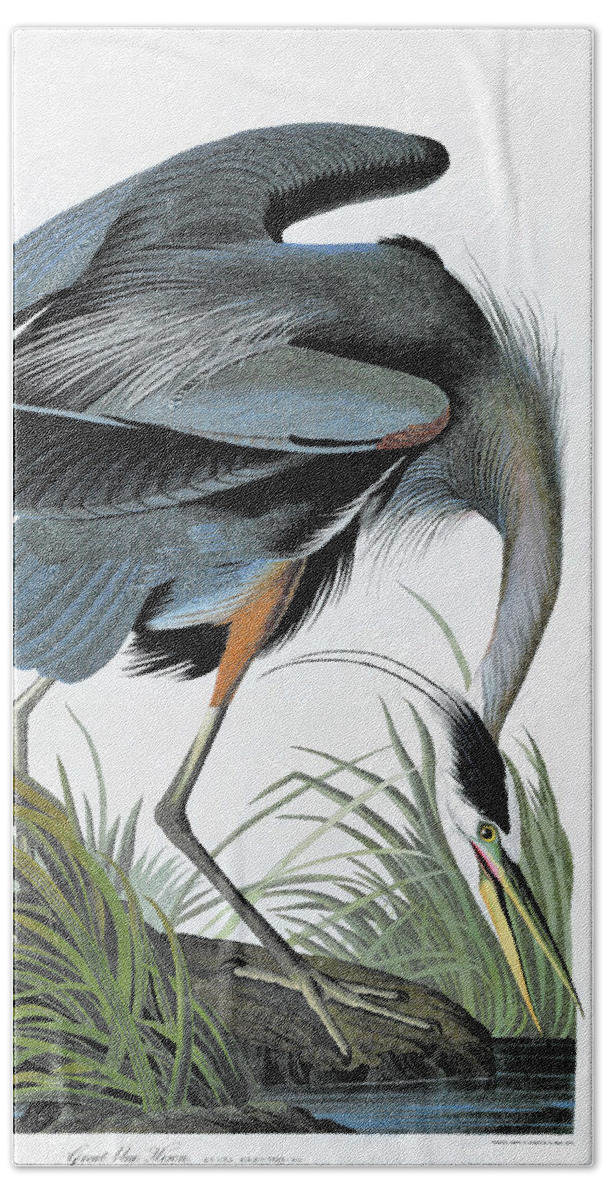 Great Blue Heron Hand Towel featuring the painting Great blue Heron - Digital Remastered Edition by John James Audubon