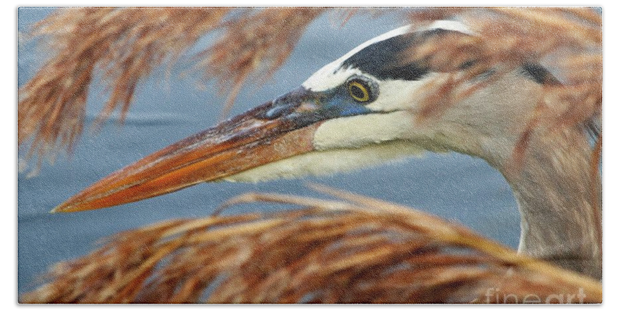 Great Blue Heron Bath Towel featuring the photograph Great Blue Heron by Joanne Carey