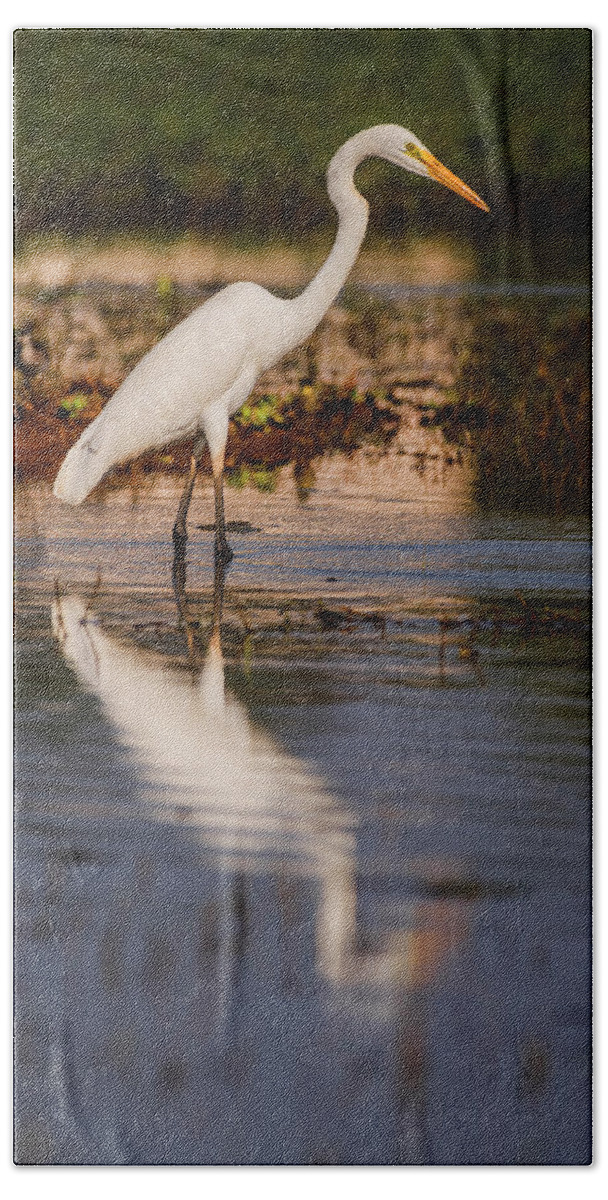 Egret Bath Towel featuring the photograph Great Egret and its reflection by Vishwanath Bhat