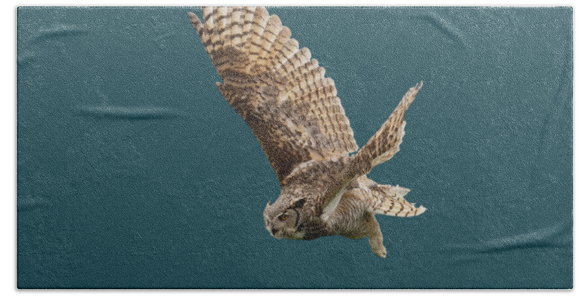 Great Horned Owl Hand Towel featuring the mixed media Great Horned Owl Sans Background by Judy Cuddehe