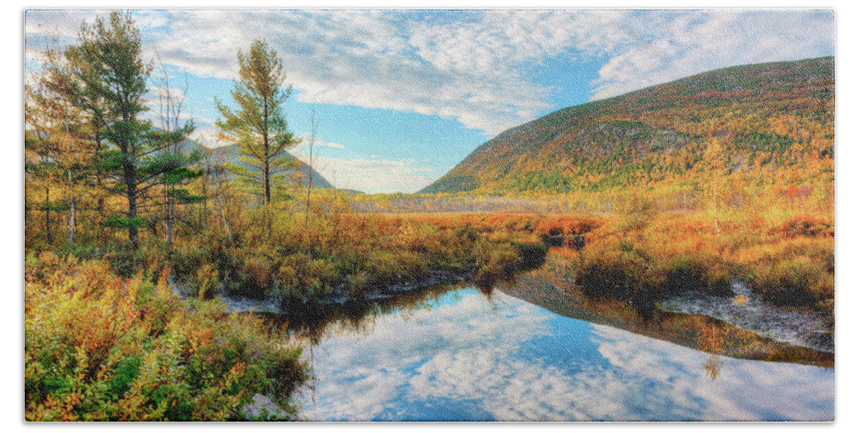 Acadia National Park Hand Towel featuring the photograph Great Meadows 6636 by Greg Hartford