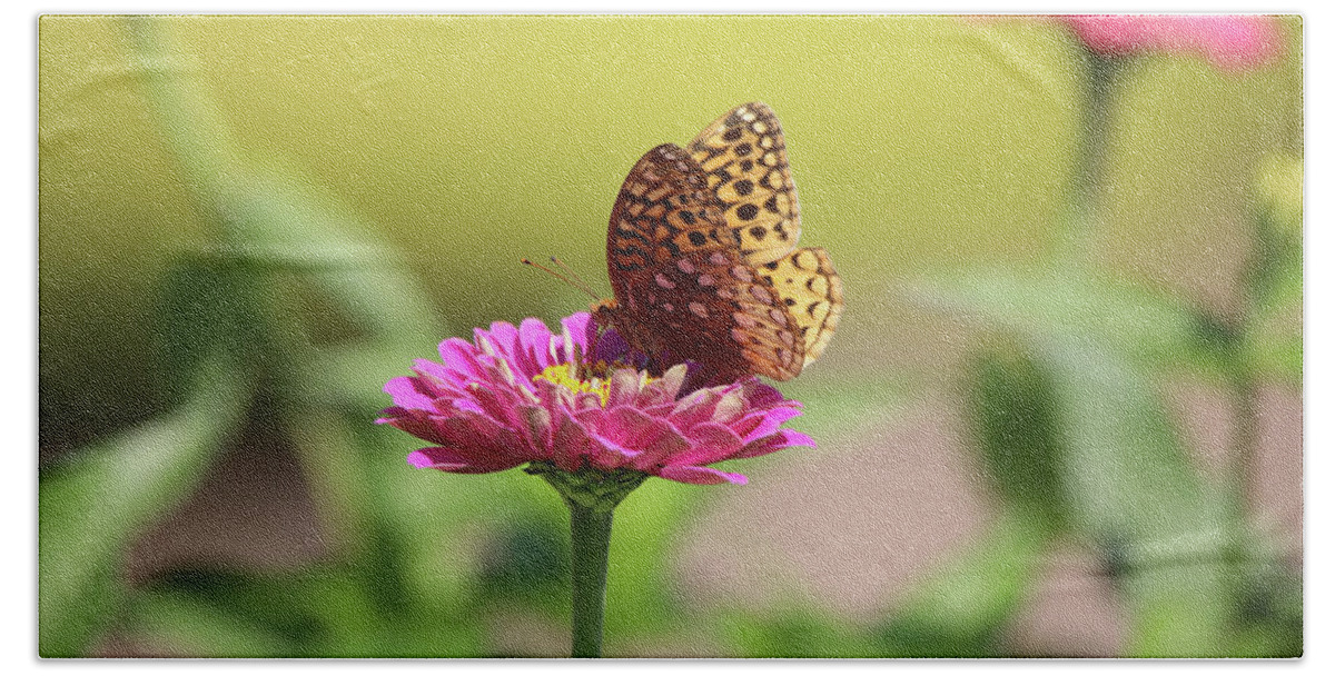 Butterfly Hand Towel featuring the photograph Great Spangled Fritillary by Scott Burd