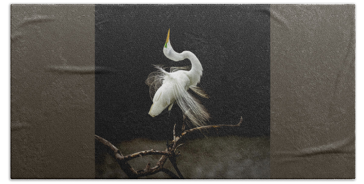 Egret Hand Towel featuring the photograph Great White Egret Feathers III by Patti Deters