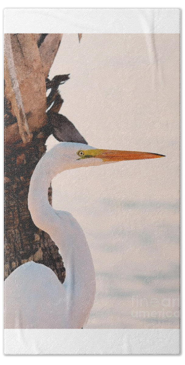 Great White Egret Hand Towel featuring the photograph Great White Egret Standing by a Cabbage Palm Tree by Joanne Carey
