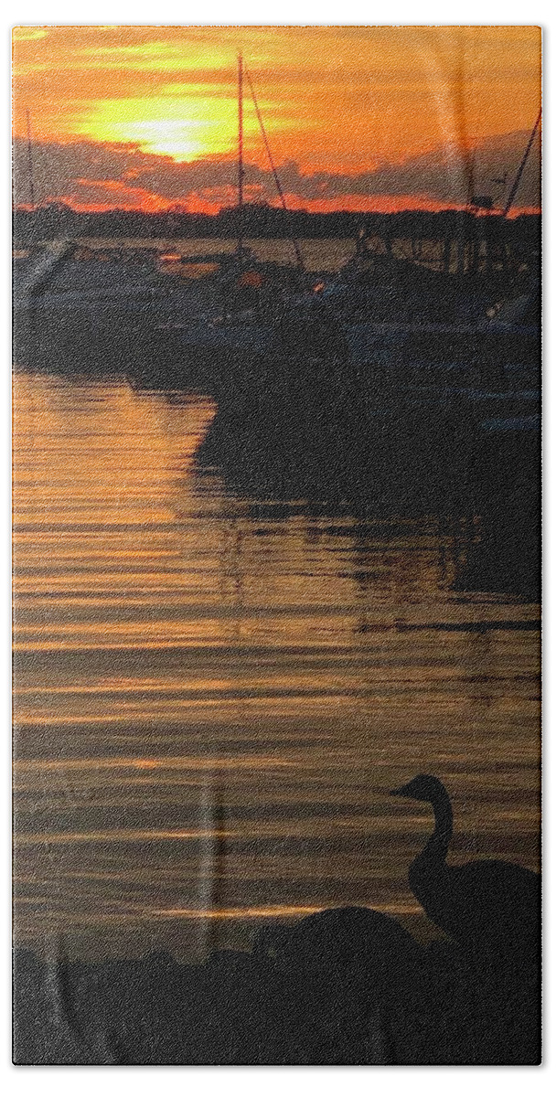 Geese Bath Towel featuring the photograph Green Bay Marina by Grey Coopre