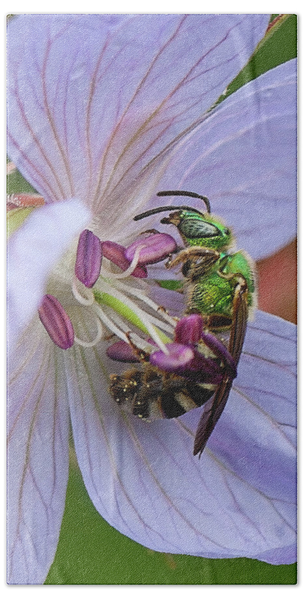 Green Bee Hand Towel featuring the photograph Green bee by Tatiana Travelways