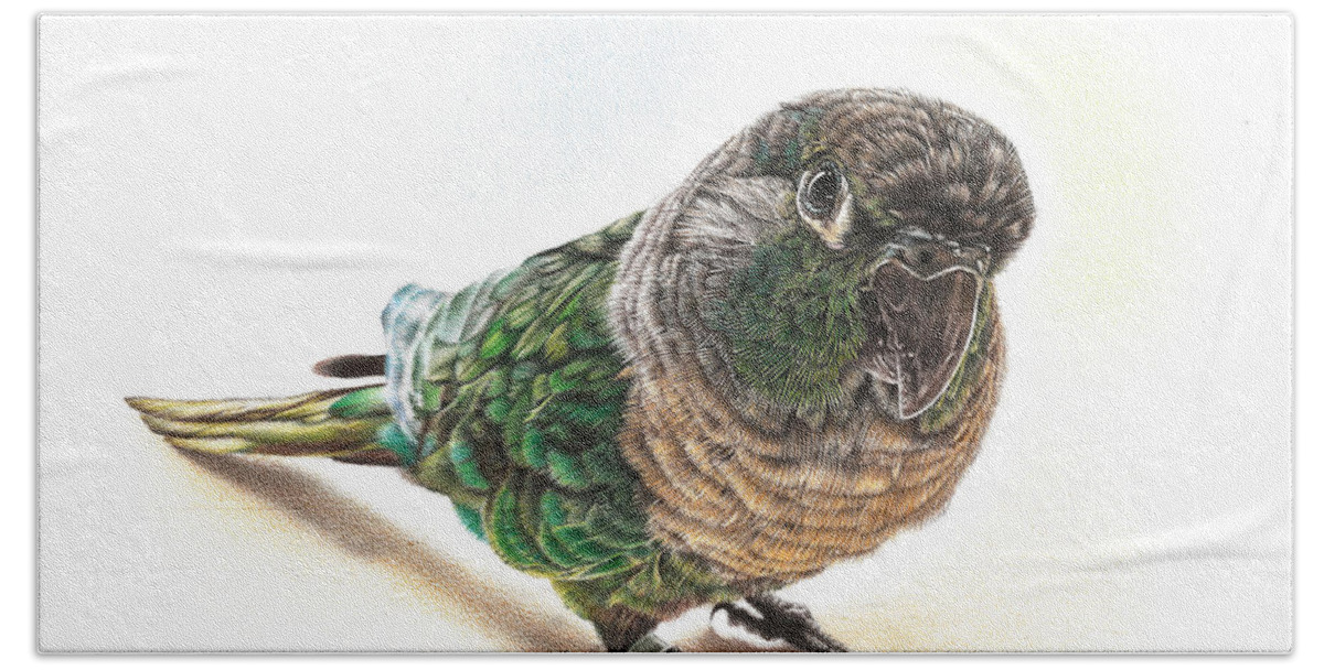 Parrot Bath Towel featuring the drawing Green Cheek Conure by Casey 'Remrov' Vormer