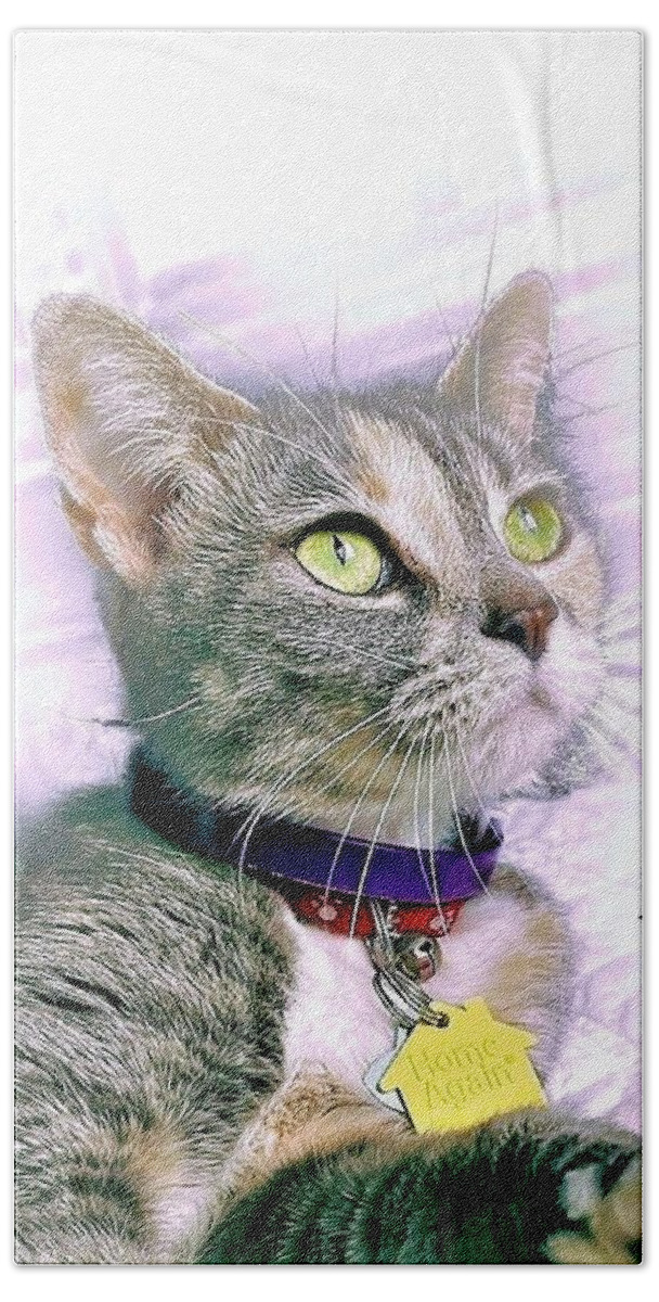 Cats Hand Towel featuring the photograph Green Eyes by John Anderson