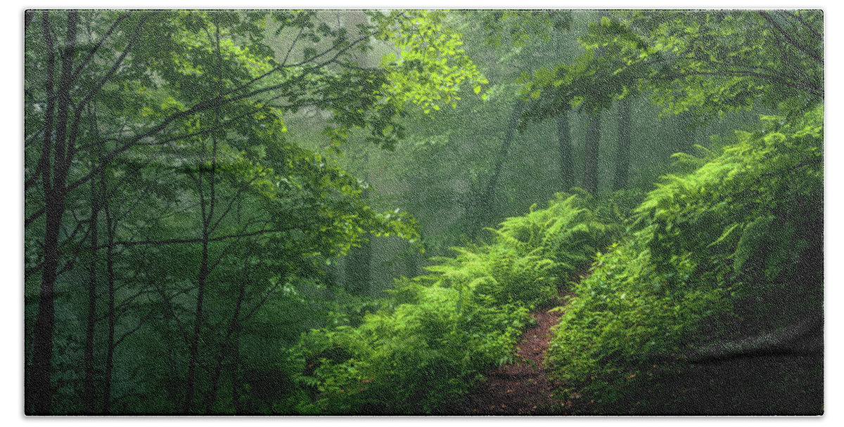 Mountain Hand Towel featuring the photograph Green Forest by Evgeni Dinev