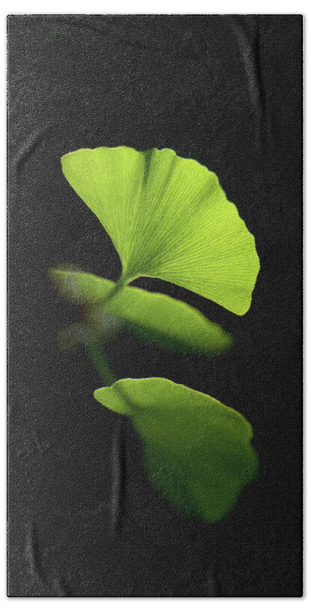 Leaves Bath Towel featuring the photograph Green Sagacity by Philippe Sainte-Laudy