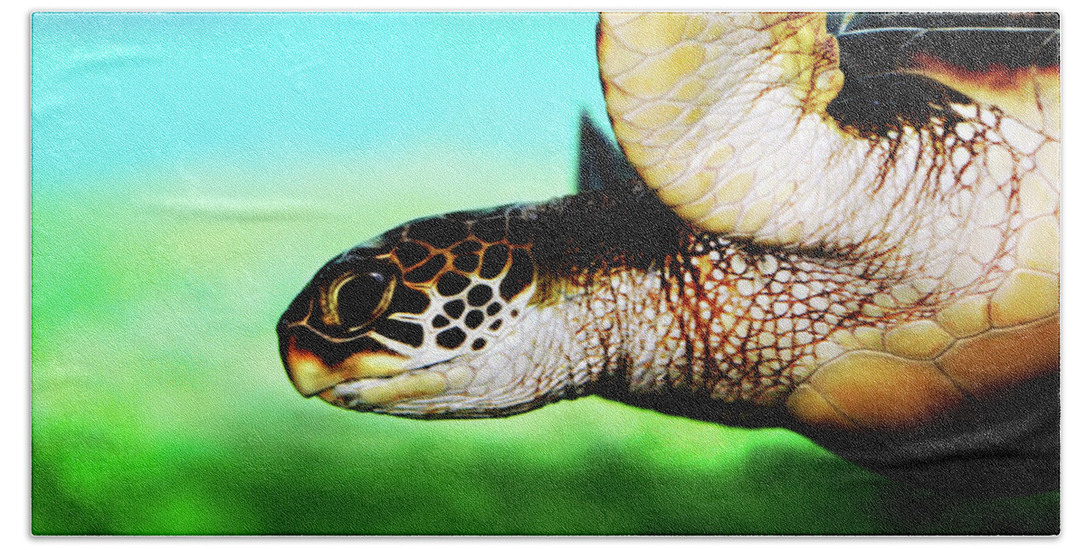 Green Bath Sheet featuring the photograph Green Sea Turtle by Marilyn Hunt