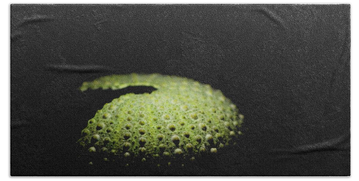 Green Hand Towel featuring the photograph Green sea urchin shell by Maria Dimitrova