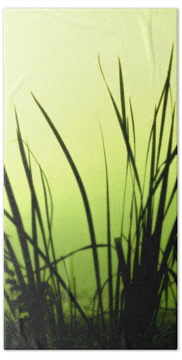Reeds Bath Towel featuring the photograph Green Soft Edges of morning by Cynthia Dickinson