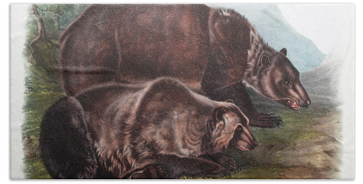 Grizzly Bear Bath Towel featuring the mixed media Grizzly Bear. John Woodhouse Audubon by World Art Collective