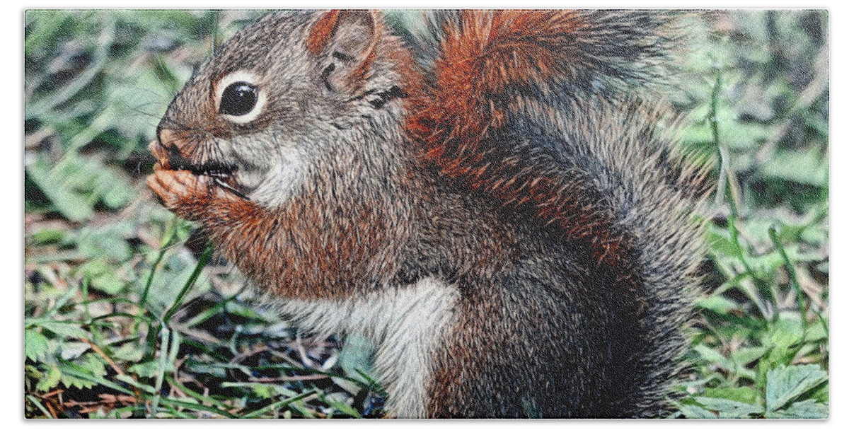Squirrel Bath Towel featuring the digital art Ground Squirrel by Pennie McCracken