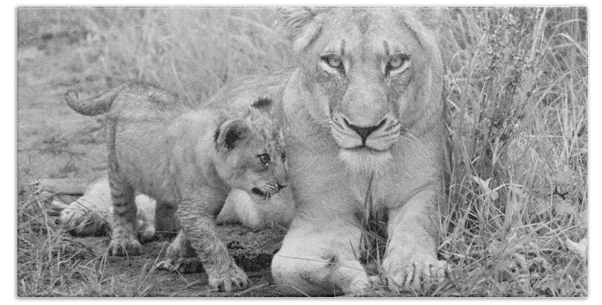 Lion Hand Towel featuring the photograph Guardian in Black and White by Rebecca Herranen