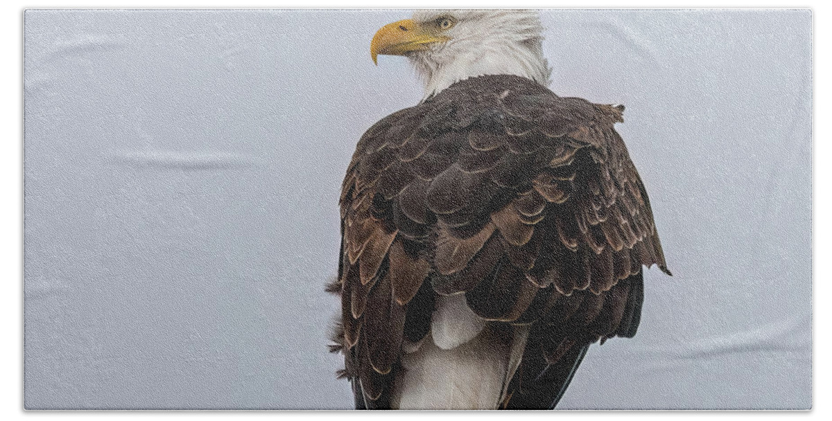 Bald Eagle Bath Towel featuring the photograph Guarding The Nest by Yeates Photography