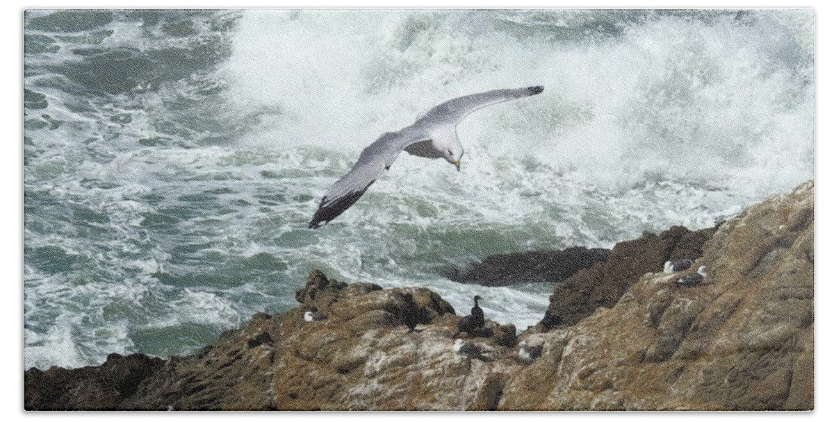 Seascape Bath Towel featuring the photograph Gull and Wave by Richard Thomas
