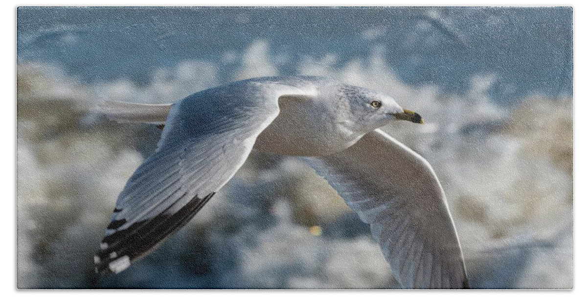 Action Hand Towel featuring the photograph Gull at the Beach by Liza Eckardt