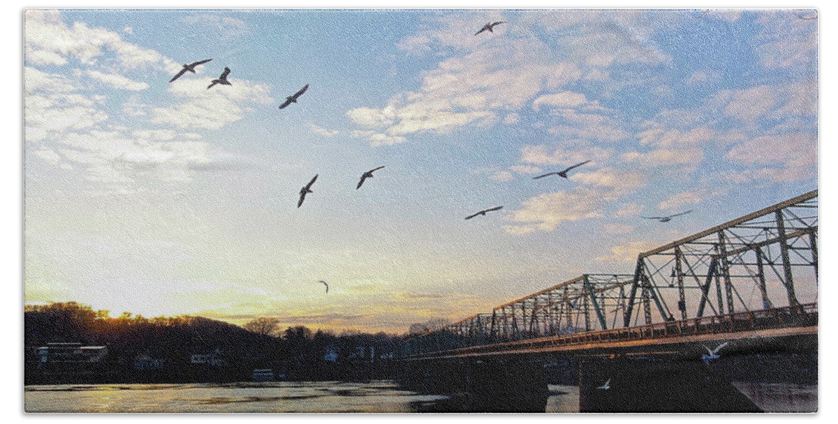 +pixels Bath Towel featuring the photograph Gulls at the Bridge #2 by Christopher Plummer
