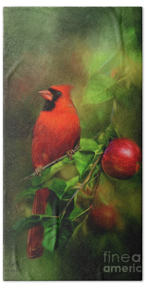 Cardinal Hand Towel featuring the mixed media Handsome Cardinal by Kathy Kelly