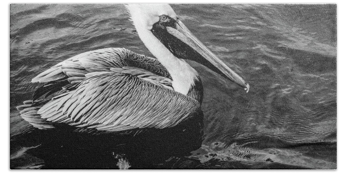 Black Bath Towel featuring the photograph Handsome Pelican Black and White by Debra and Dave Vanderlaan