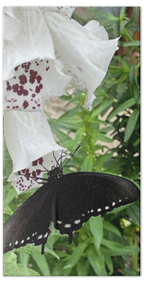 Butterfly Black White Flower Maroon Leaves Green Beige Wall Insect Bath Towel featuring the digital art Happy Butterfly by Kathleen Boyles