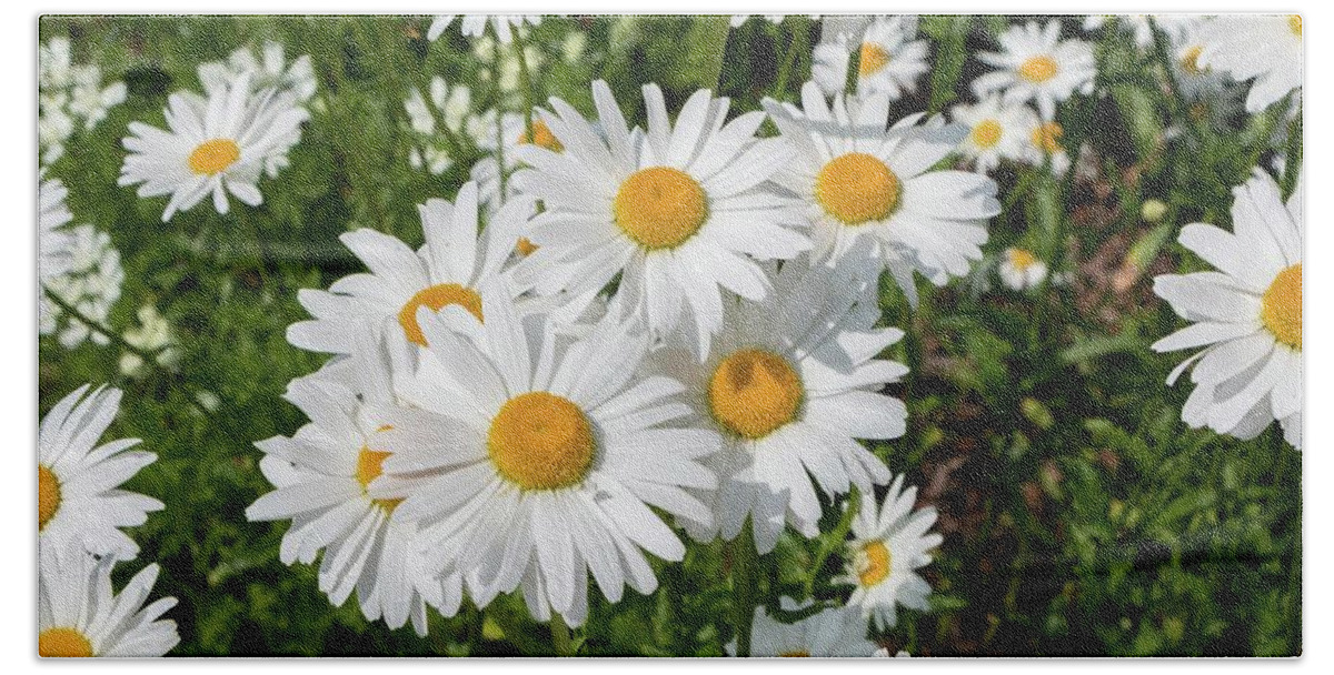 Daisy Hand Towel featuring the photograph Happy Daisies by Liza Eckardt