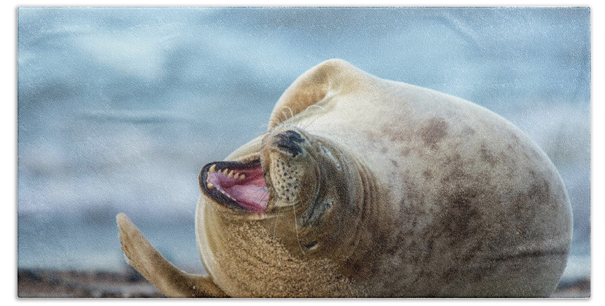 Grey Seal Bath Towel featuring the photograph Happy Grey Seal smiling by Gareth Parkes