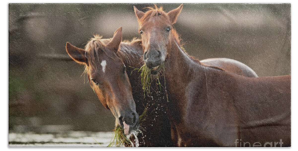 Salt River Wild Horses Bath Towel featuring the photograph Happy Meal by Shannon Hastings