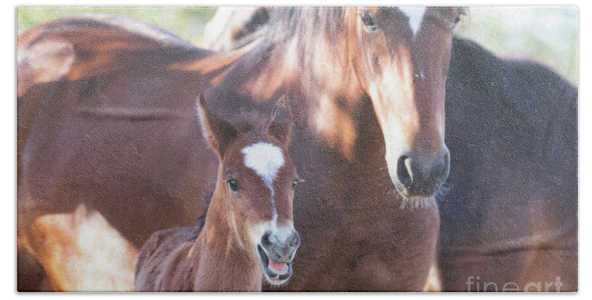 Foal Bath Towel featuring the photograph Happy by Shannon Hastings