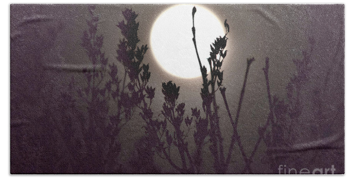 Full Moon Bath Towel featuring the photograph Harvest Moon Risin' by Debra Banks