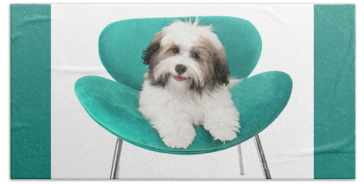 Dog Bath Towel featuring the photograph Havanese Puppy Joy by Renee Spade Photography