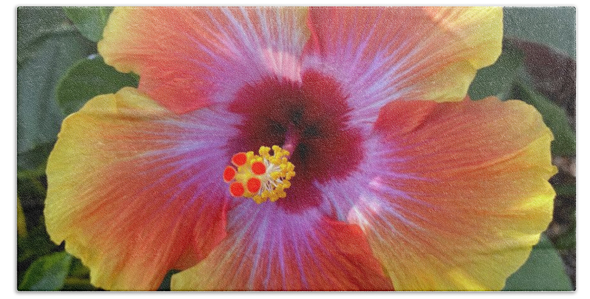Andrea Callaway Hawaii Flower Beautiful Colors Oahu Light Nature Natural Sunshine Hand Towel featuring the photograph Hawaiian Hibiscus by Andrea Callaway