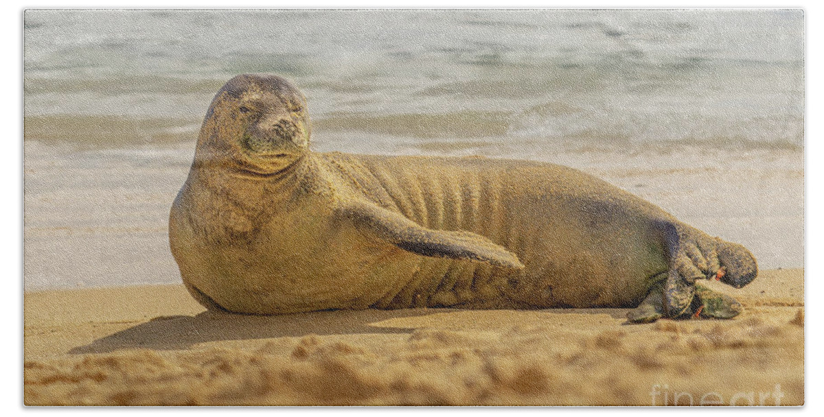Animal Hand Towel featuring the photograph Hawaiian Monk Seal Portrait by Nancy Gleason
