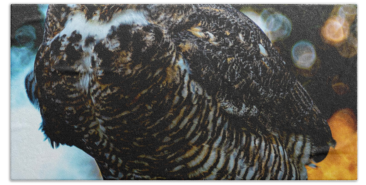 \\hawk Bath Towel featuring the photograph Hawk Watch Owl 1 by Phyllis Spoor
