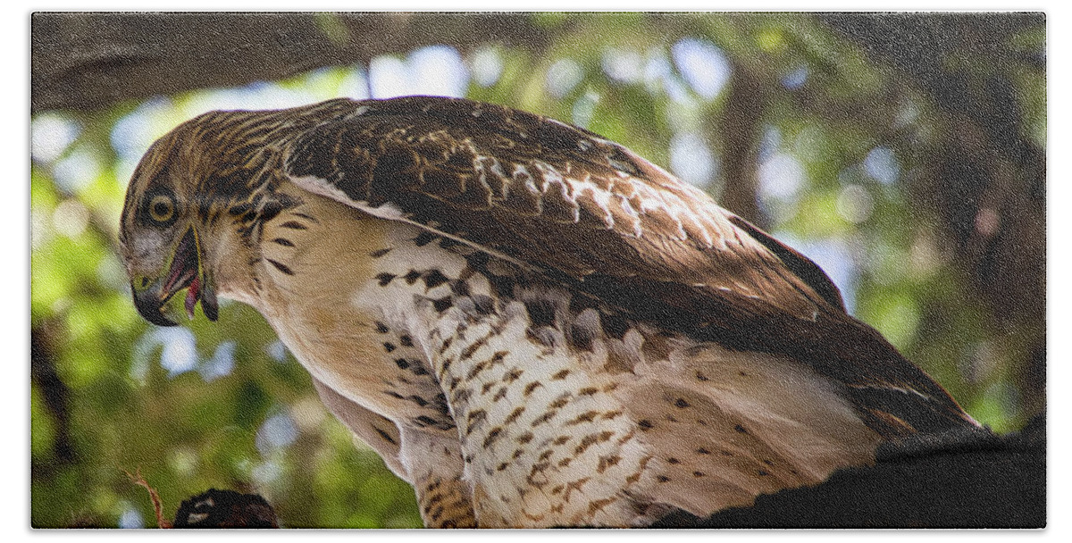 Hawk Hand Towel featuring the photograph Red-Tail Hawk With Prey by Rene Vasquez