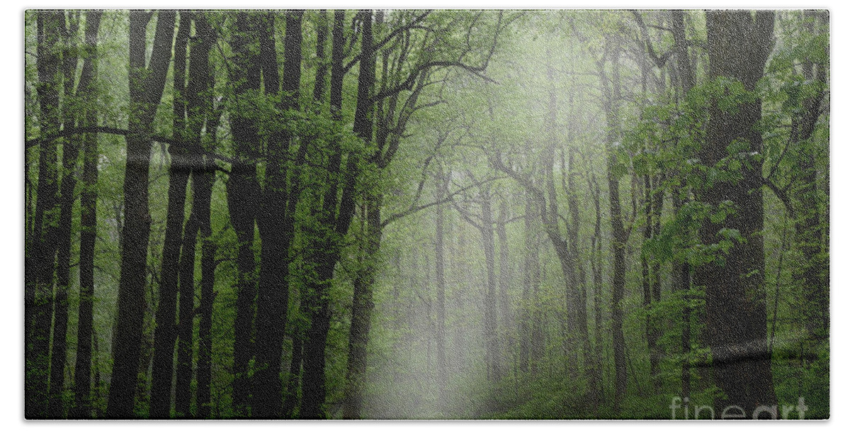 Forest Hand Towel featuring the digital art Heading into Fog by Kathy Russell