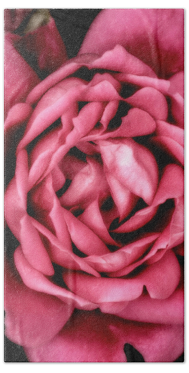 Pink Bath Towel featuring the photograph Heart Of A Rose by Bill and Linda Tiepelman