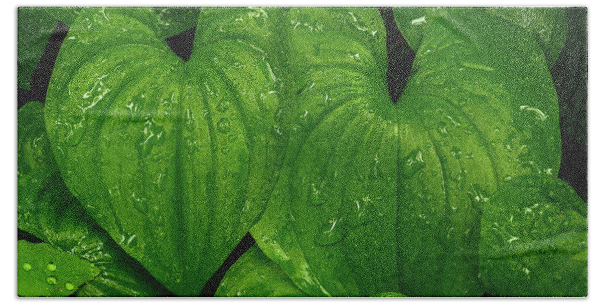 Leaves Hand Towel featuring the photograph Hearts in the rain forest by Robert Miller