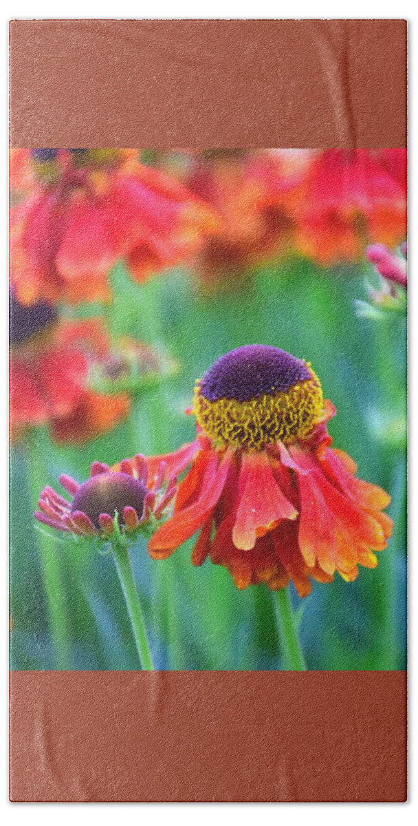 Helenium Hand Towel featuring the photograph Hello Helenium by Sea Change Vibes