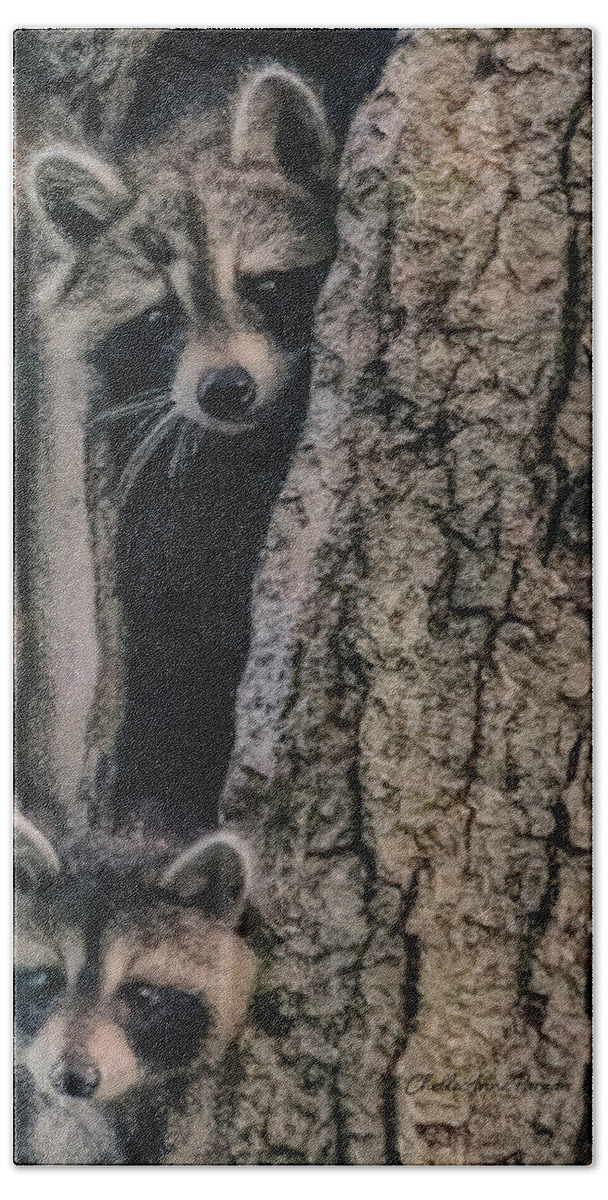 Racoon Hand Towel featuring the photograph Hello Neighbor by ChelleAnne Paradis