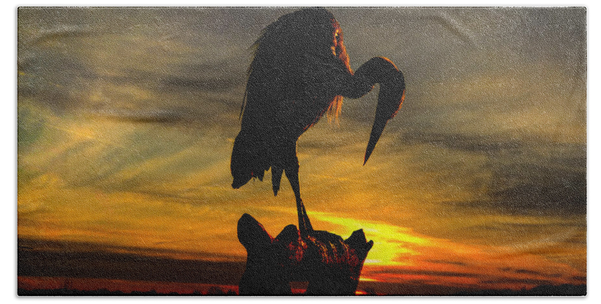  Hand Towel featuring the photograph Heron at Sunset by Jack Wilson