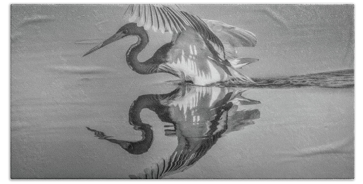 Great Blue Heron Bath Towel featuring the photograph Heron Landing by Dorothy Cunningham