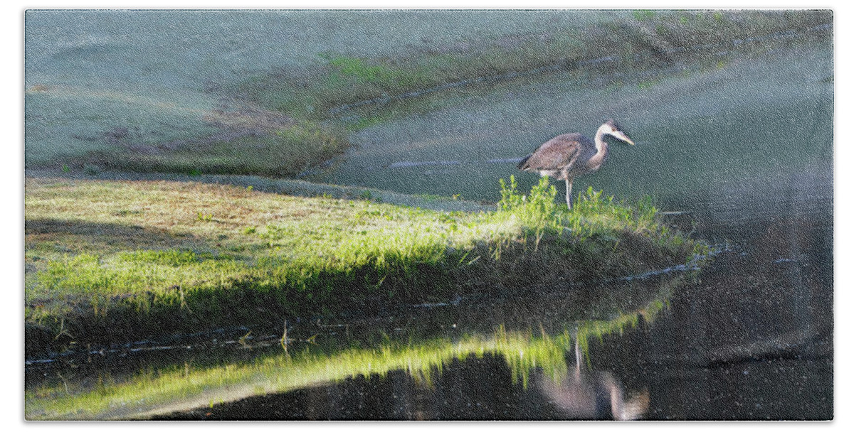Great Blue Heron Bath Towel featuring the photograph Heron On Point by Jerry Griffin