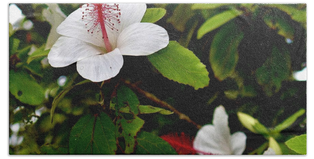 Square Hand Towel featuring the photograph Hibiscus and Honey Bee by Gary F Richards