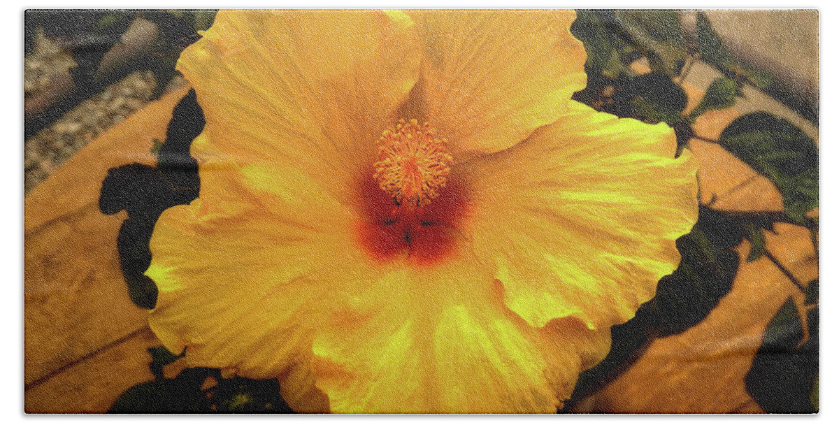 Flower Bath Towel featuring the photograph Hibiscus by Dan Eskelson