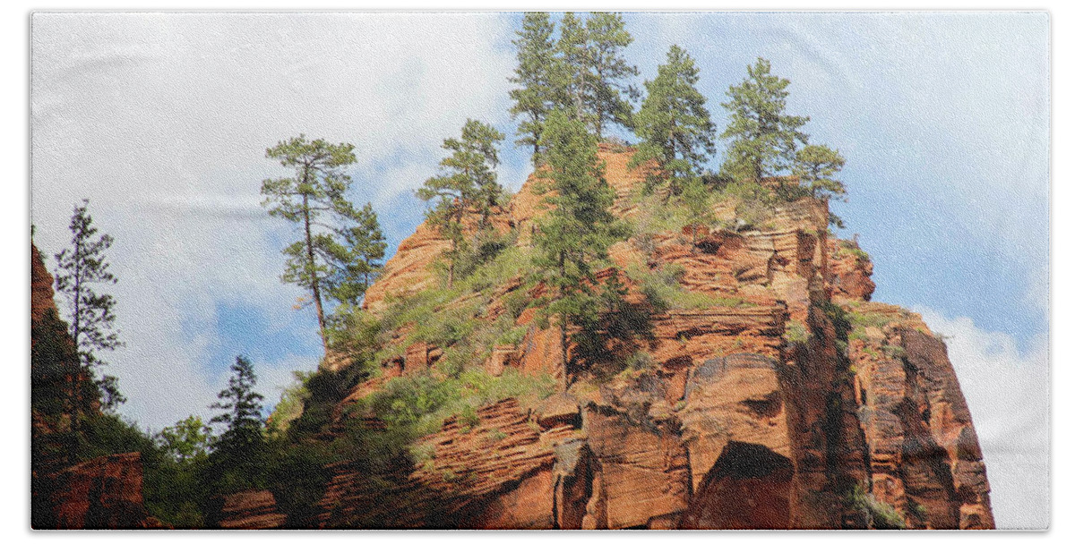 Landscape Bath Towel featuring the photograph High Above the Canyon by Robert Carter