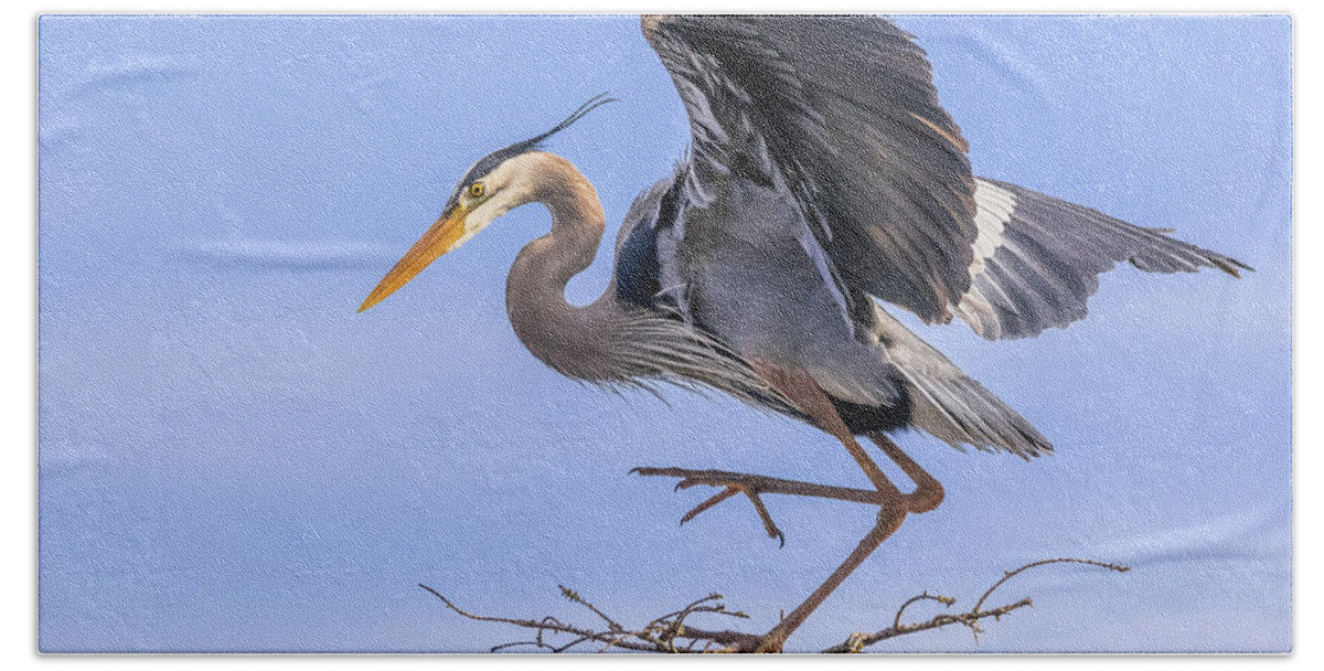 Great Blue Heron Hand Towel featuring the photograph High Steppin' by Jim Miller
