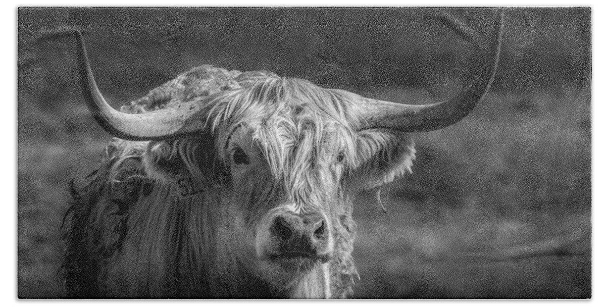 Highland Cattle Bath Towel featuring the photograph Highland Bull by Danette Steele